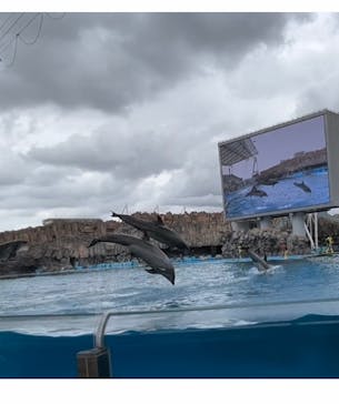 名古屋港水族館に投稿された画像（2023/9/21）