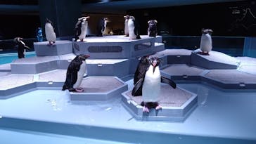 AOAO SAPPOROに投稿された画像（2023/9/21）