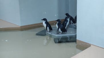 AOAO SAPPOROに投稿された画像（2023/9/21）