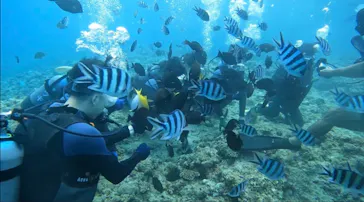 武藤潜水に投稿された画像（2023/9/21）