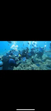 武藤潜水に投稿された画像（2023/9/21）