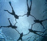 宮古島 ADVENTURE PiPi（ミヤコジマ アドベンチャー ピピ）に投稿された画像（2023/9/21）