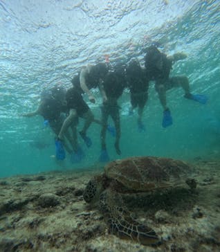 宮古島 ADVENTURE PiPi（ミヤコジマ アドベンチャー ピピ）に投稿された画像（2023/9/21）