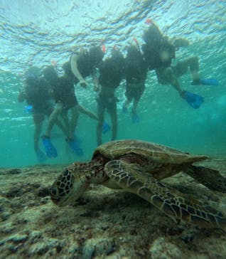 宮古島 ADVENTURE PiPi（ミヤコジマ アドベンチャー ピピ）に投稿された画像（2023/9/21）