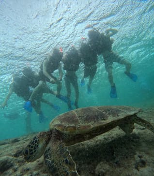 宮古島 ADVENTURE PiPi（ミヤコジマ アドベンチャー ピピ）に投稿された画像（2023/9/21）