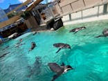 下田海中水族館に投稿された画像（2023/9/21）