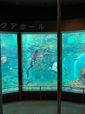 下田海中水族館に投稿された画像（2023/9/21）