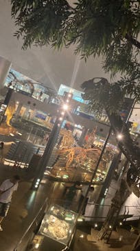 福井県立恐竜博物館に投稿された画像（2023/9/21）