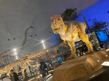 福井県立恐竜博物館に投稿された画像（2023/9/21）