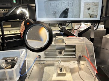 福井県立恐竜博物館に投稿された画像（2023/9/21）