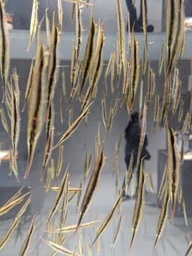 AOAO SAPPOROに投稿された画像（2023/9/21）