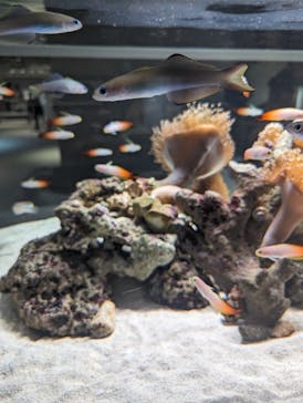 AOAO SAPPOROに投稿された画像（2023/9/21）