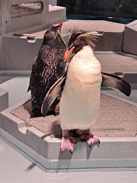 AOAO SAPPOROに投稿された画像（2023/9/21）