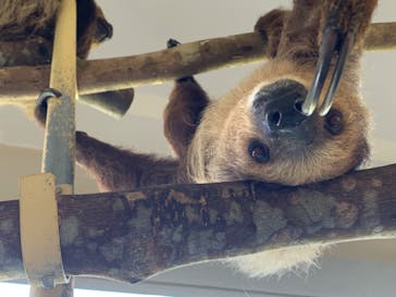 ネオパークオキナワに投稿された画像（2023/9/21）