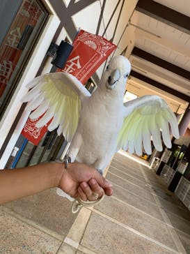 ネオパークオキナワに投稿された画像（2023/9/21）