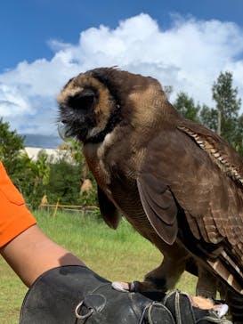 ネオパークオキナワに投稿された画像（2023/9/21）