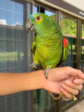 ネオパークオキナワに投稿された画像（2023/9/21）