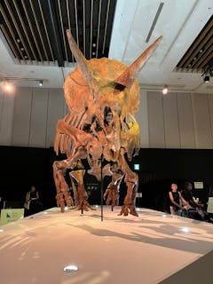 DinoScience 恐竜科学博 2023@TOKYO MIDTOWN／口コミ一覧｜アソビュー！