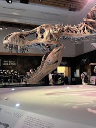 DinoScience 恐竜科学博 2023@TOKYO MIDTOWNに投稿された画像（2023/9/21）