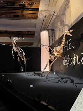 DinoScience 恐竜科学博 2023@TOKYO MIDTOWNに投稿された画像（2023/9/21）