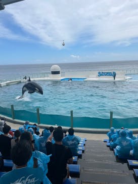 鴨川シーワールドに投稿された画像（2023/9/21）