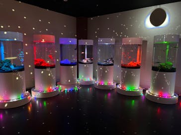 NARA KINGYO MUSEUMに投稿された画像（2023/9/21）