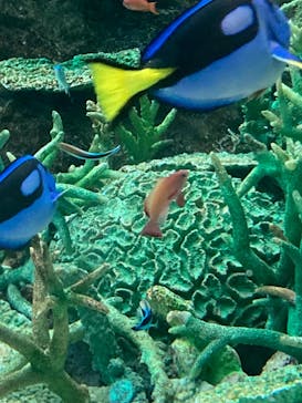 名古屋港水族館に投稿された画像（2022/8/16）