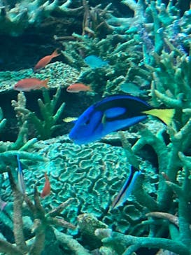 名古屋港水族館に投稿された画像（2022/8/16）