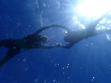 宮古島 ADVENTURE PiPi（ミヤコジマ アドベンチャー ピピ）に投稿された画像（2023/9/21）