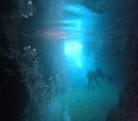 青の洞窟専門店　沖縄ダイビングショップ和に投稿された画像（2023/9/21）