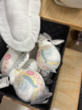 特別展「海　―生命のみなもと―」（国立科学博物館）に投稿された画像（2023/9/21）