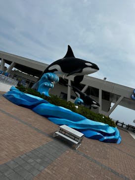 鴨川シーワールドに投稿された画像（2023/9/21）