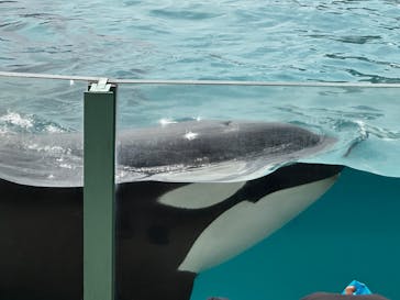 鴨川シーワールドに投稿された画像（2023/9/21）