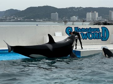 鴨川シーワールドに投稿された画像（2023/9/21）