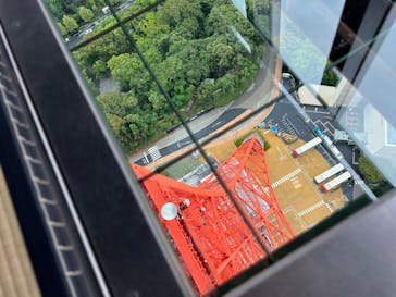 東京タワーに投稿された画像（2023/9/22）