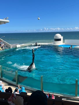 鴨川シーワールドに投稿された画像（2023/9/22）