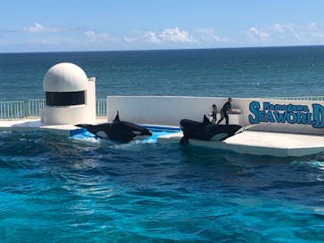 鴨川シーワールドに投稿された画像（2023/9/22）