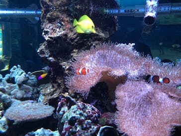 鴨川シーワールドに投稿された画像（2023/9/22）