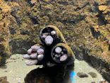 仙台うみの杜水族館に投稿された画像（2023/9/22）