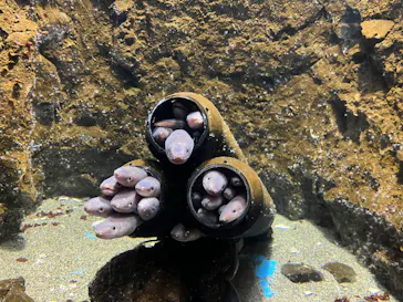 仙台うみの杜水族館に投稿された画像（2023/9/22）