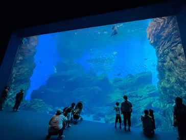 仙台うみの杜水族館に投稿された画像（2023/9/22）