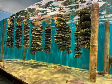 仙台うみの杜水族館に投稿された画像（2023/9/22）