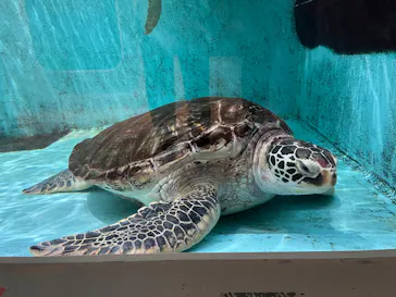 仙台うみの杜水族館に投稿された画像（2023/9/22）