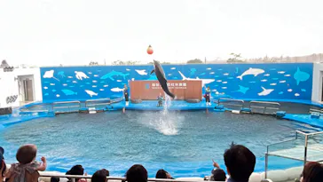 仙台うみの杜水族館に投稿された画像（2023/9/22）