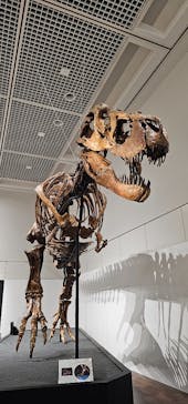 大阪市立自然史博物館に投稿された画像（2023/9/22）