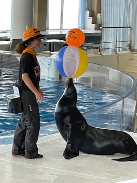 アクアワールド茨城県大洗水族館に投稿された画像（2023/9/22）