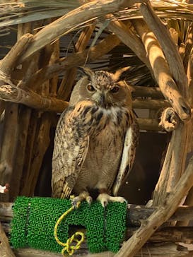 カワスイ 川崎⽔族館に投稿された画像（2023/9/22）