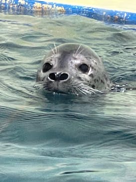 伊豆・三津シーパラダイスに投稿された画像（2023/9/22）