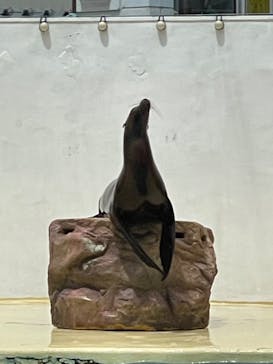 伊豆・三津シーパラダイスに投稿された画像（2023/9/22）