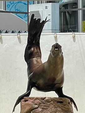 伊豆・三津シーパラダイスに投稿された画像（2023/9/22）